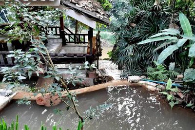 The Cascade-mae Taeng Waterfall Bungalows By Zuzu