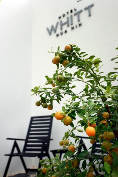 Hotel Whitt Hua Hin