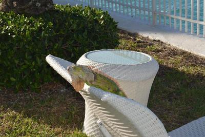 Quarzo Boutique Hotel Bal Harbor