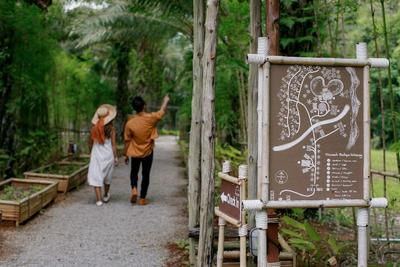 Khaosok Boutique Hideaway