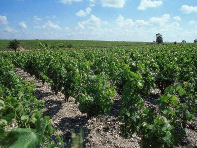 Adagio Access Bordeaux Sud Pessac