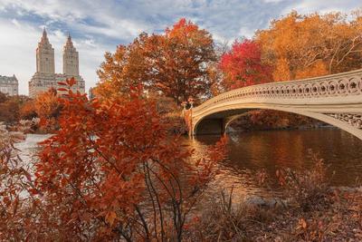 The Ritz-Carlton New York, Central Park