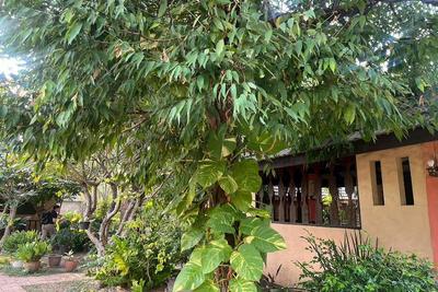 The Royal Shilton Resort by ZUZU