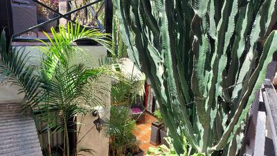 Apartamentos Monasterio de San Antonio Only Adults