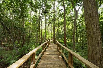 Innisbrook, a Salamander Golf & Spa Resort