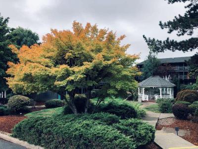 Best Western Portland West Beaverton