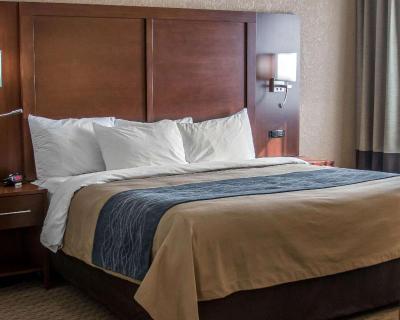 Comfort Inn Detroit/Warren