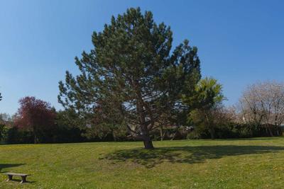 Kyriad Chantilly Sud - Luzarches