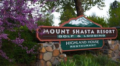 Mount Shasta Resort