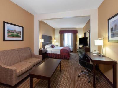 Wingate By Wyndham Houston / Willowbrook