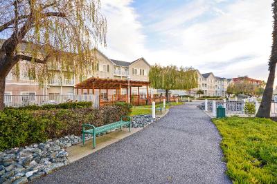 Homewood Suites Oakland Waterfront