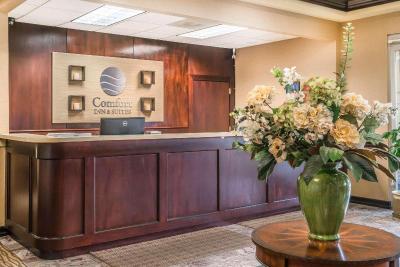Comfort Inn & Suites Seattle