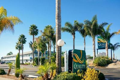 The Grove at Pismo Beach
