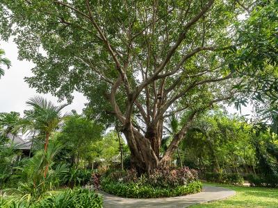 Sea Sand Sun Resort and Villas – SHA Plus