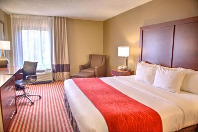 Comfort Inn Pensacola - University Area