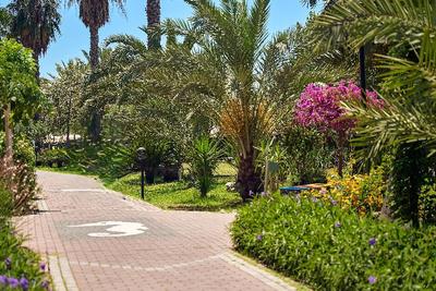 Seaden Sea World Resort & Spa