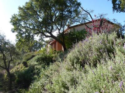 Posada Finca la Fronda
