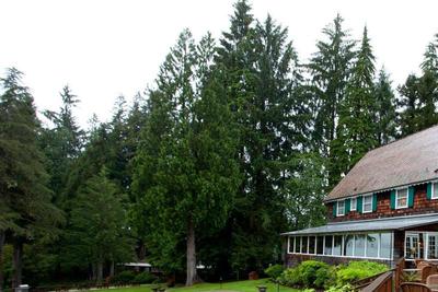 Lake Quinault Lodge