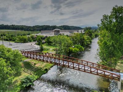 Holiday Inn Hotel & Suites Pigeon Forge Convention