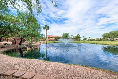Westgate Painted Mountain Golf Resort