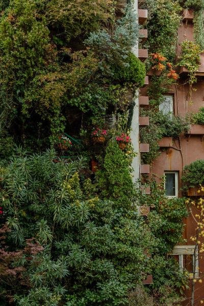 Inhala Hotel Garden