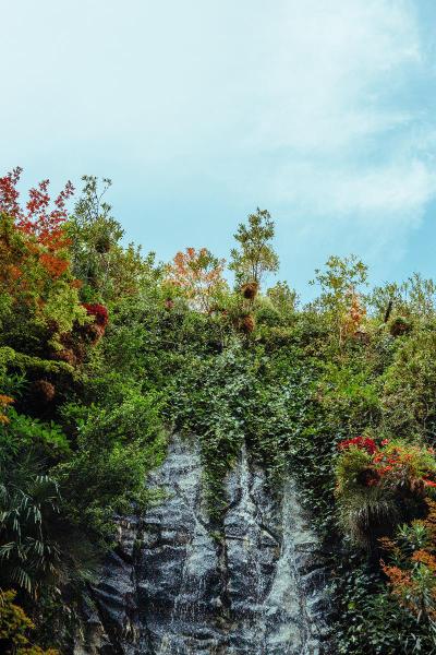 Inhala Hotel Garden