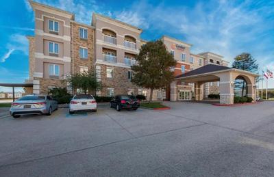 Comfort Suites Central