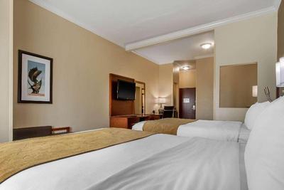 Comfort Suites Central