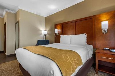Comfort Suites Central