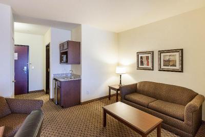 Comfort Suites San Antonio North - Stone Oak