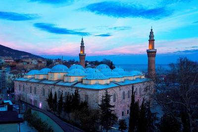 Kent Bursa