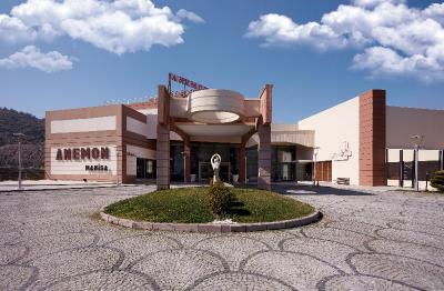 Anemon Manisa