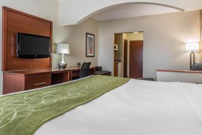 Comfort Suites Springfield - OH