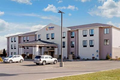 Comfort Suites South Haven Area