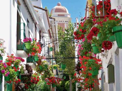 Estepona Hotel & Spa Resort