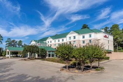 Hilton Garden Inn Houston/The Woodland