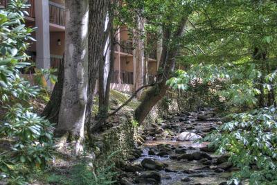 Hampton Inn Gatlinburg 