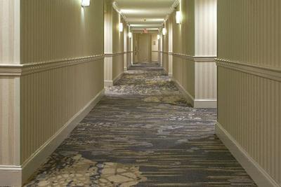 Hilton North Raleigh/Midtown