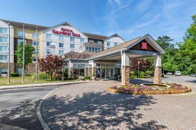 Hilton Garden Inn Atlanta NE- Gwinnett Sugarloa