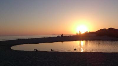 Son Bou Playa Gold