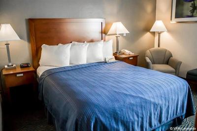Quality Inn Central Albany