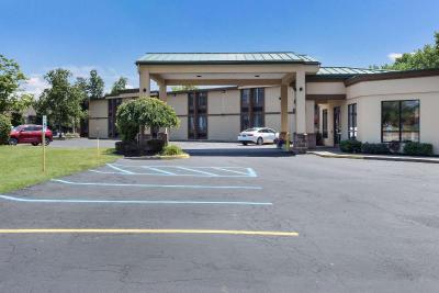 Quality Inn Central Albany