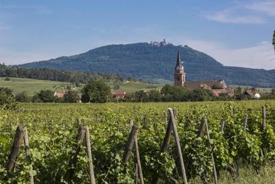 Résidence Odalys Le Domaine des Rois