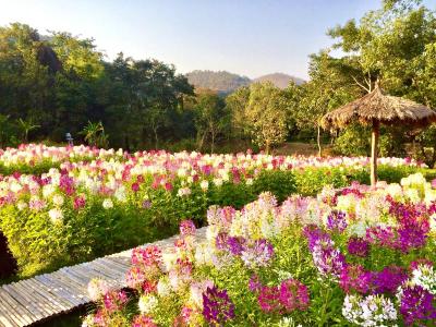 Sibsan Resort & Spa Maetaen