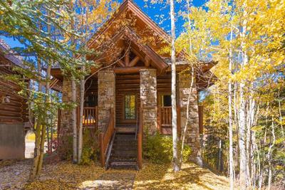 Mountain Lodge Telluride