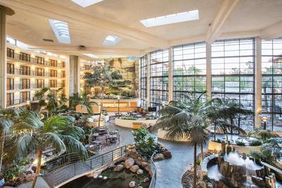 Embassy Suites by Hilton Phoenix Biltmor