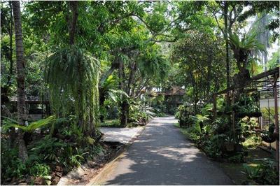 Fern Paradise Chiang Mai