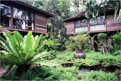 Fern Paradise Chiang Mai