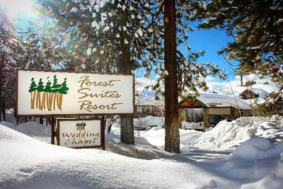 Forest Suites Resort