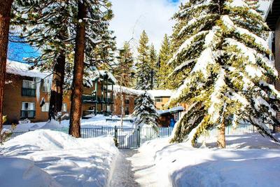 Forest Suites Resort
